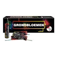 B2B Grondbloem 72 OP=OP - aanbiedingen